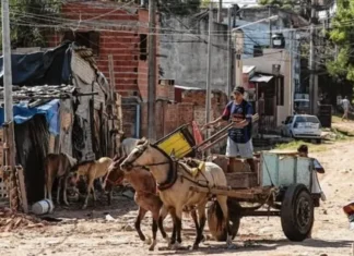 Nuevamente, Concordia fue la ciudad más pobre del país: 56,2% en el primer trimestre del año