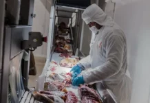 Carne a Japón: el ruralismo entrerriano celebra la apertura y reclama reglas claras