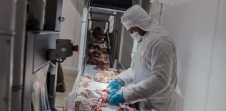 Carne a Japón: el ruralismo entrerriano celebra la apertura y reclama reglas claras