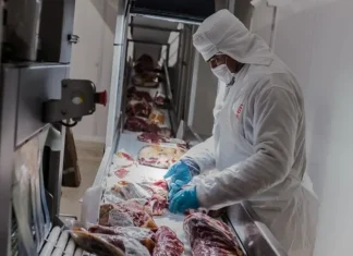 Carne a Japón: el ruralismo entrerriano celebra la apertura y reclama reglas claras