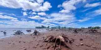 El río Uruguay seguirá creciendo mientras el embalse espera el agua que llega del norte