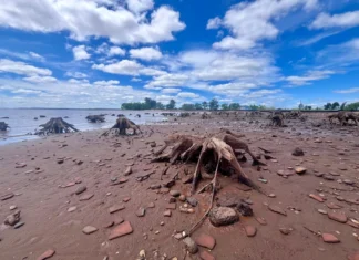 El río Uruguay seguirá creciendo mientras el embalse espera el agua que llega del norte