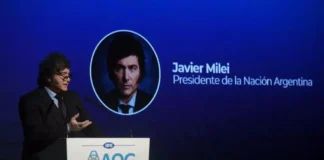 Para Milei, “es una pelotudez decir que la gente no llega a fin de mes” y habló del “nivel de estupidez” de los que critican el RIGI