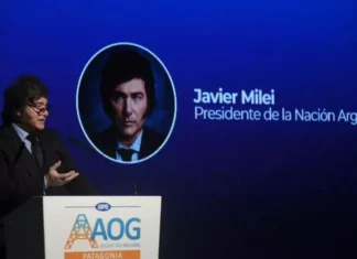 Para Milei, “es una pelotudez decir que la gente no llega a fin de mes” y habló del “nivel de estupidez” de los que critican el RIGI
