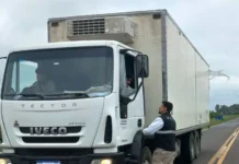 Senasa decomisó una carga irregular de 400 kg de pescado de río en la Ruta Nacional 14 en Entre Ríos