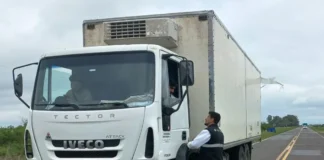Senasa decomisó una carga irregular de 400 kg de pescado de río en la Ruta Nacional 14 en Entre Ríos