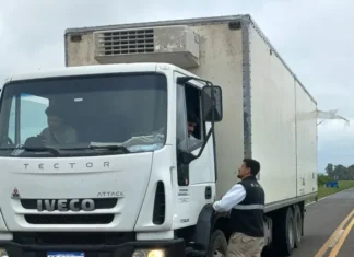 Senasa decomisó una carga irregular de 400 kg de pescado de río en la Ruta Nacional 14 en Entre Ríos